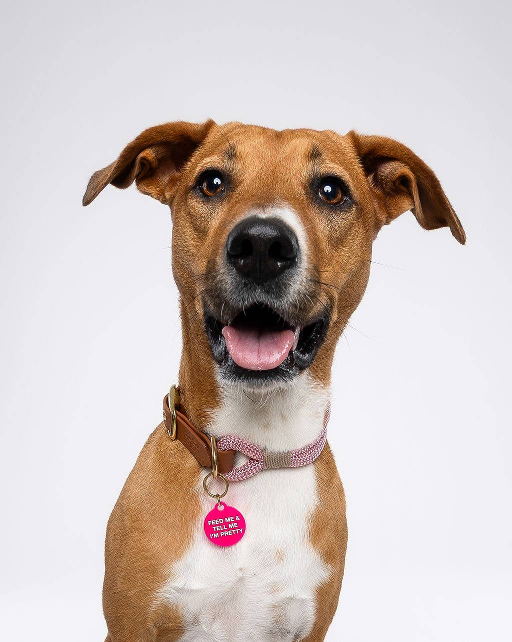 Feed Me & Tell Me I'm Pretty Pet Tag - Pink Peonies