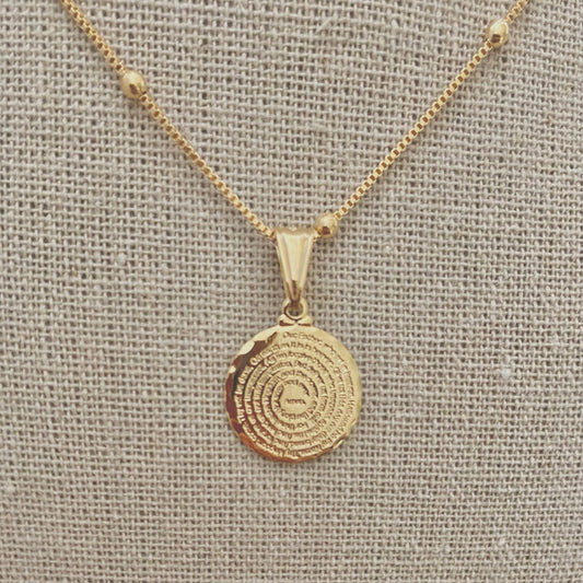 Our Father prayer coin charm necklace 18k GF satellite chain - Pink Peonies